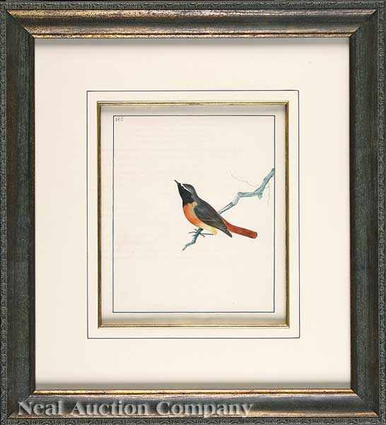 Appraisal: William Lewin English - a group of watercolor drawings from