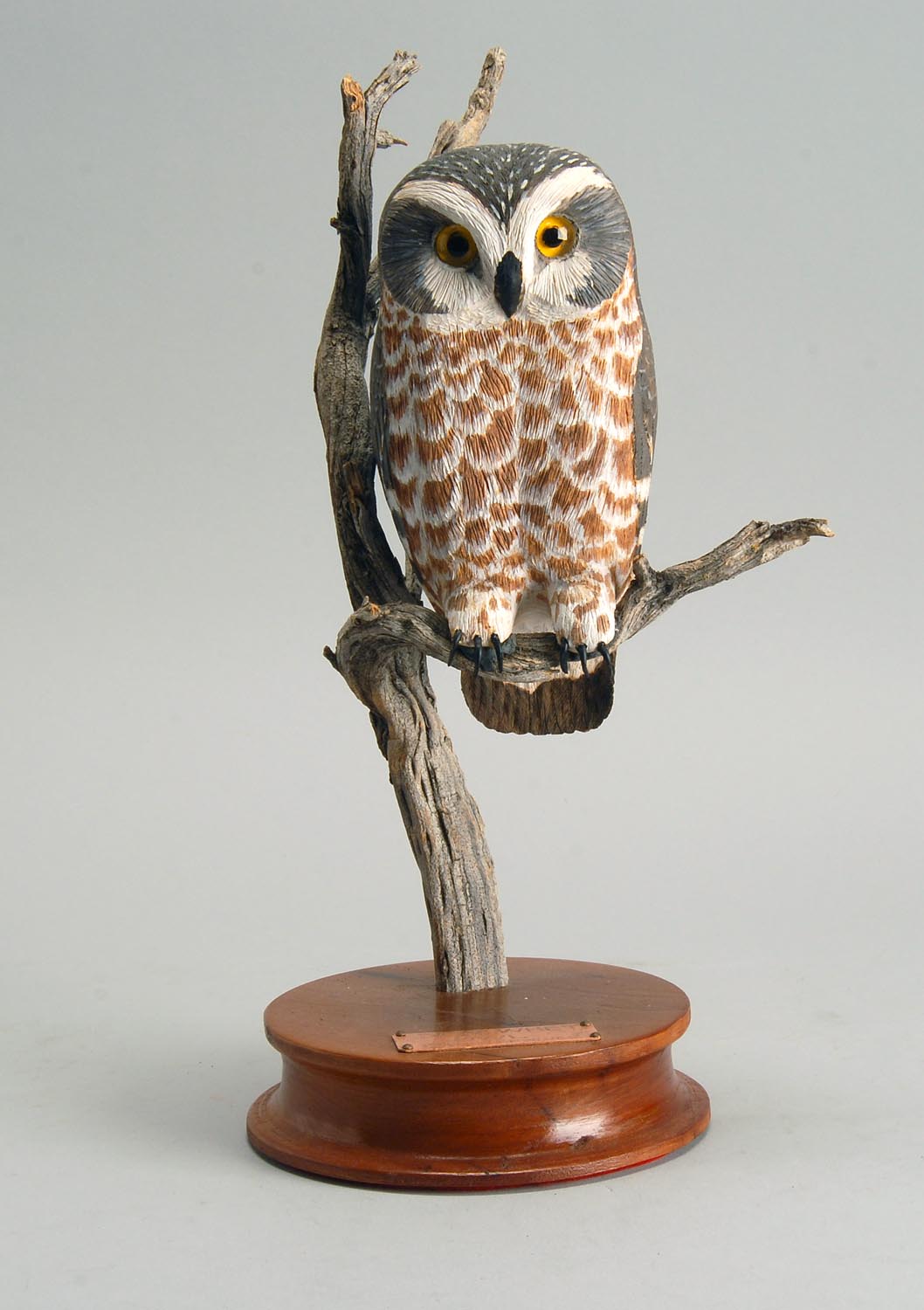 Appraisal: SAW-WHET OWL CARVING by Frank Silver Georgia Mounted on a