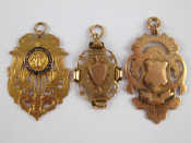 Appraisal: A mixed lot comprising three carat gold medals one enamelled