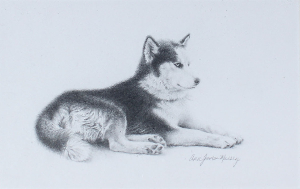 Appraisal: MASSEY Ann American ''Dog'' Siberian Husky in a Relaxed Pose