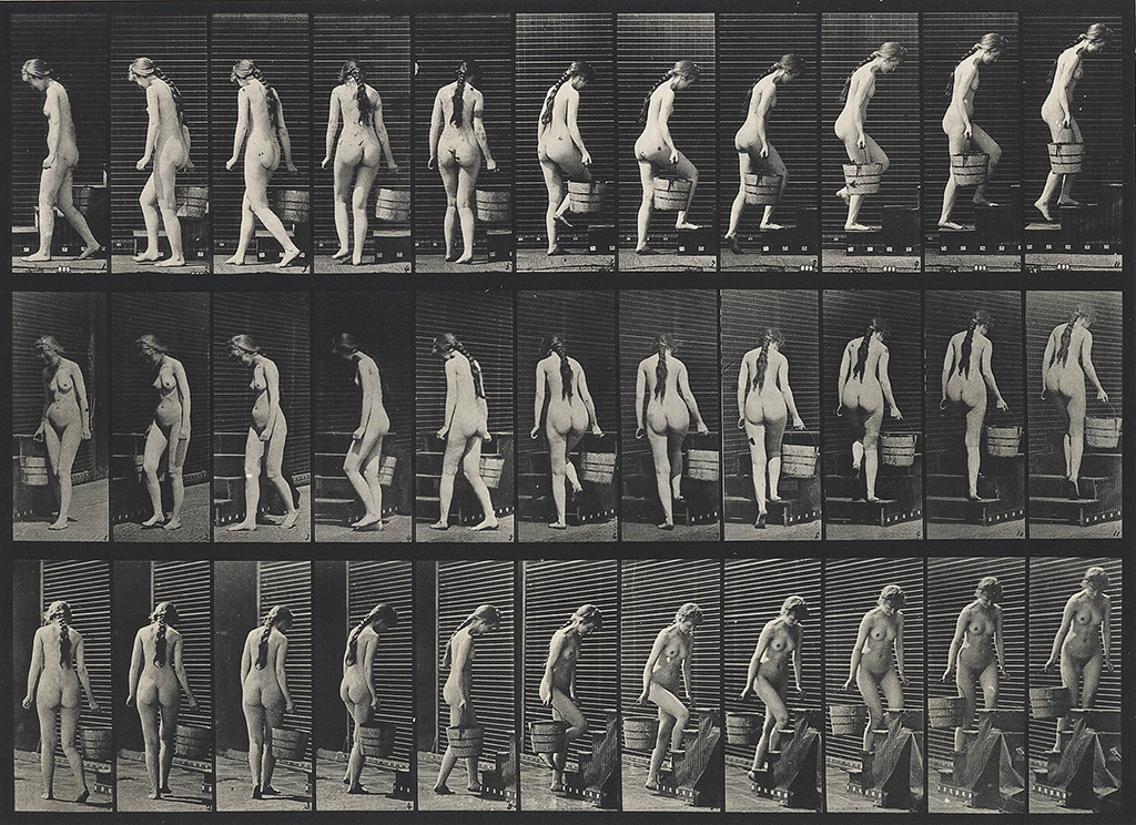 Appraisal: MUYBRIDGE EADWEARD - Woman carrying a bucket from Animal Locomotion