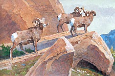 Appraisal: Bob Kuhn Rams Along a Rocky Ridgeacrylic on board x