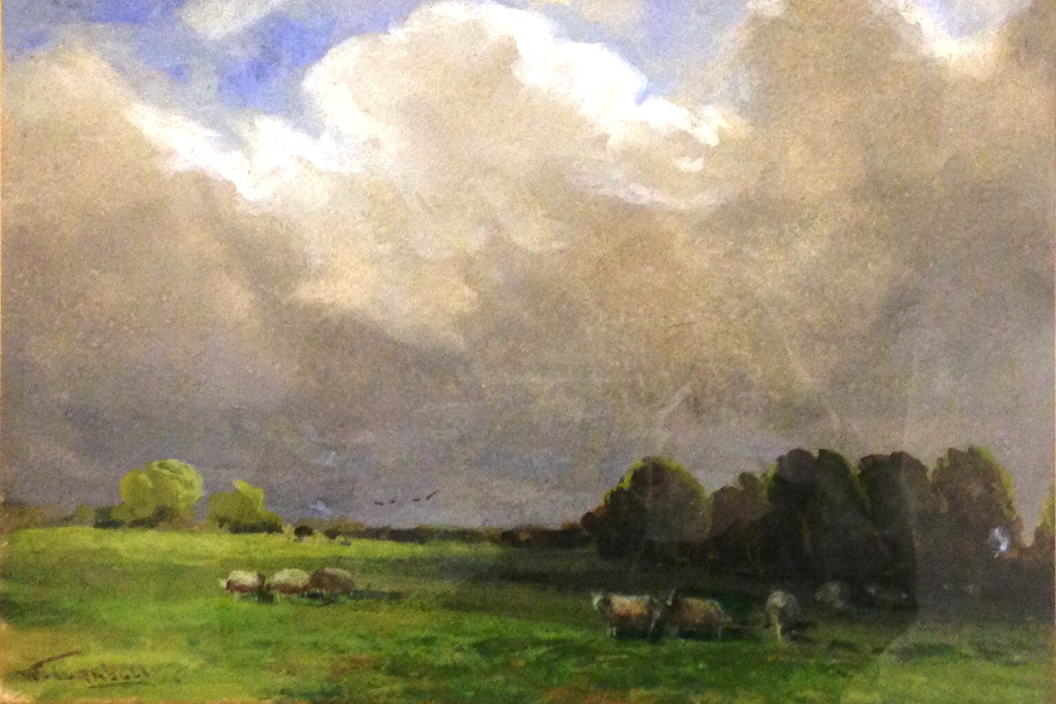 Appraisal: W Turnbull th thC British Sheep in landscape watercolour heightened