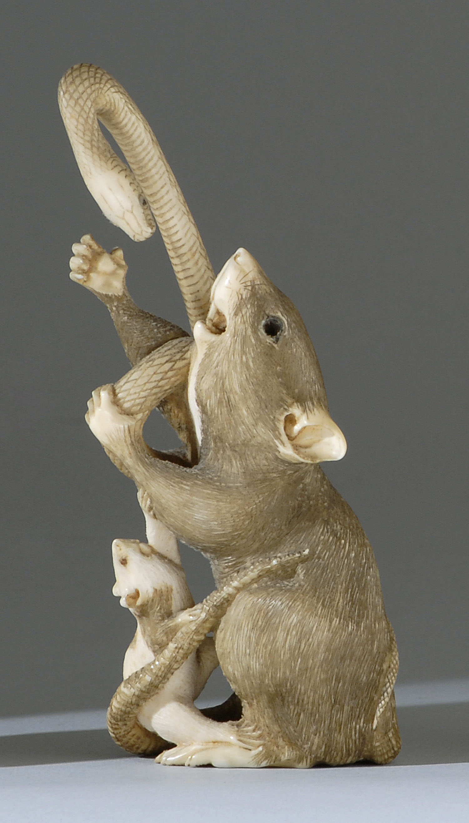 Appraisal: IVORY CARVING Meiji PeriodDepicting two rats and a snake Height