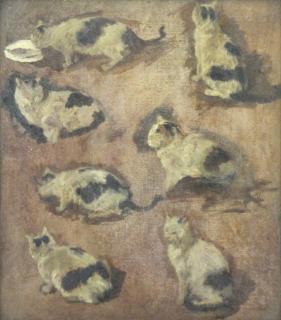 Appraisal: Illegibly Signed th C Oil on Board Cat Study Inscribed