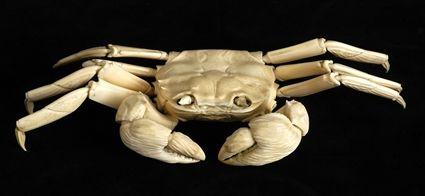 Appraisal: JAPANESE CARVED IVORY RETICULATED FIGURE OF A CRAB Realistically rendered