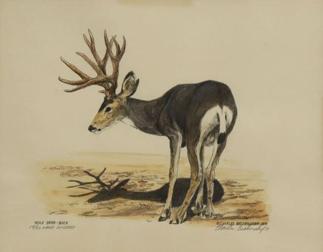 Appraisal: Framed hand-colored print on paper Mule Deer - Buck signed