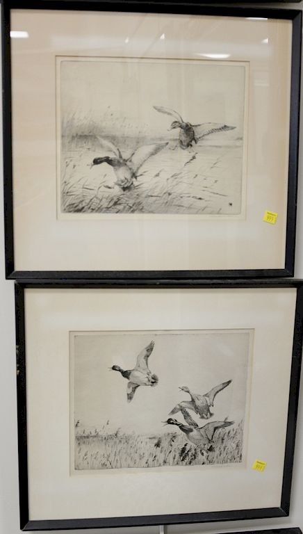 Appraisal: Set of five Winifred Austin duck etchings signed lower right