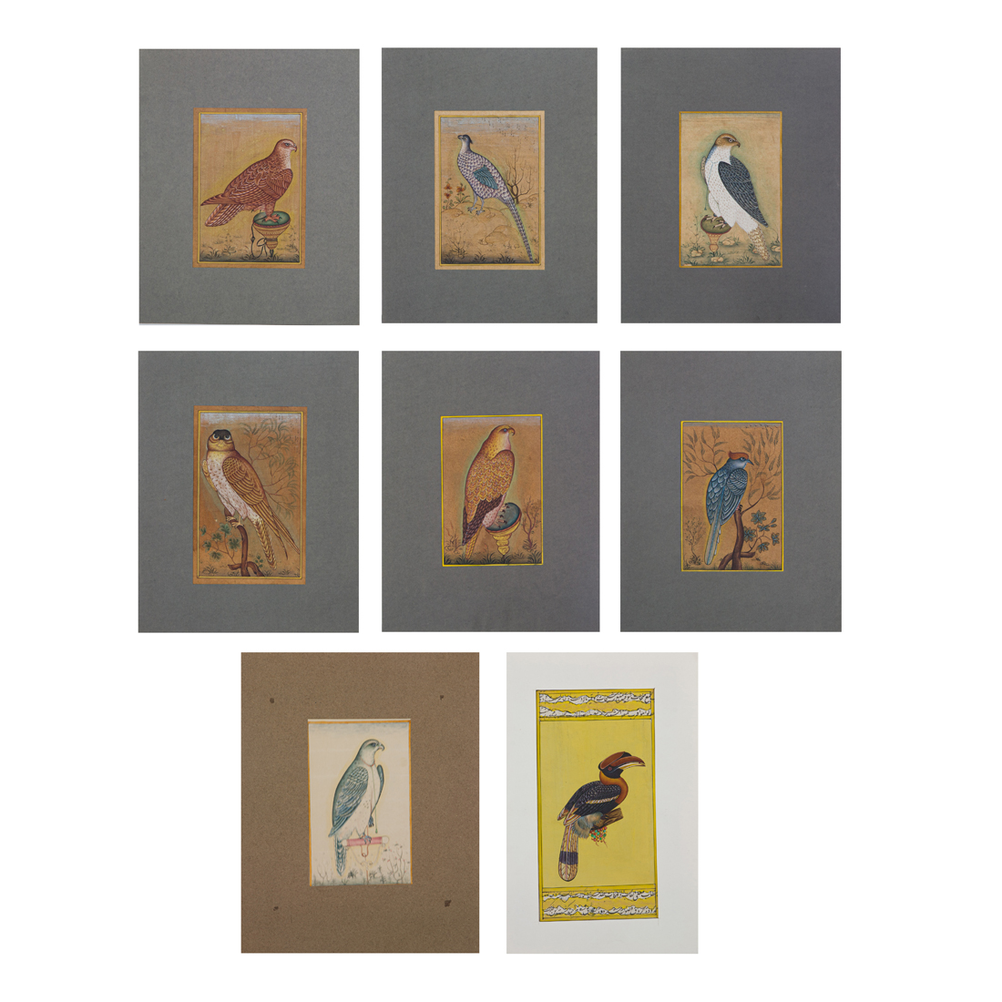 Appraisal: LOT OF PERSIAN STUDIES OF BIRDS Lot of Persian studies