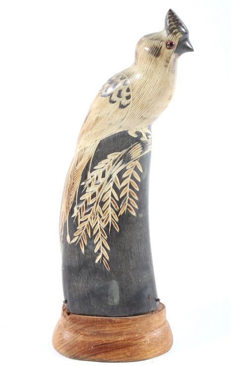 Appraisal: Carved Steer Horn Parrot Sculpture c For your consideration in