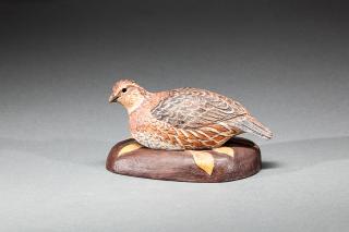 Appraisal: Bobwhite Quail Hen Davison B Hawthorne b Seaford DE c