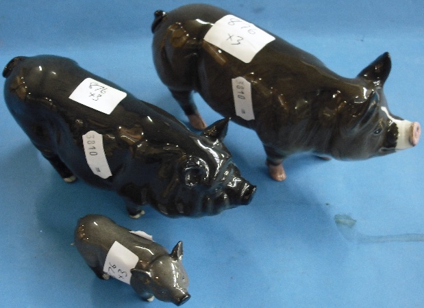 Appraisal: Beswick Berkshire Boar Vietnamese Pot Bellied Pig G and Piglet