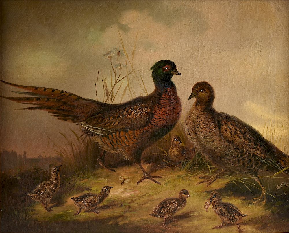 Appraisal: MUNICH SCHOOL th Century A PAINTING Pheasant Family GERMAN MUNICH