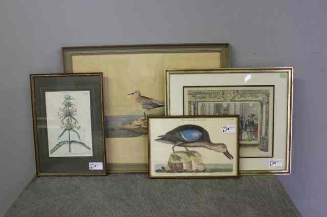 Appraisal: Box Lot of Prints Audubon etc ''Red Breasted Sandpiper'' -