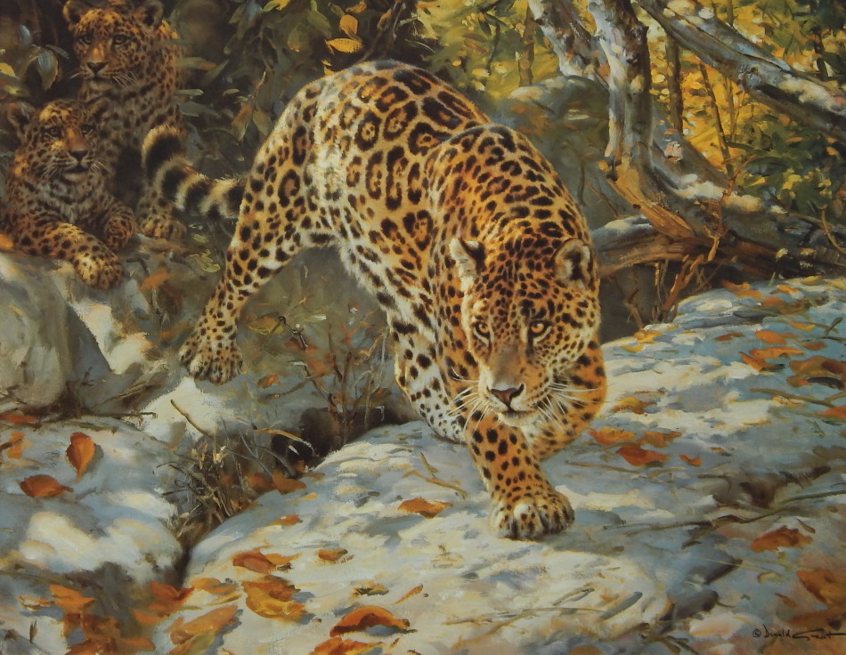 Appraisal: Donald Grant - Let Us Survive Jaguar and Cubs artist