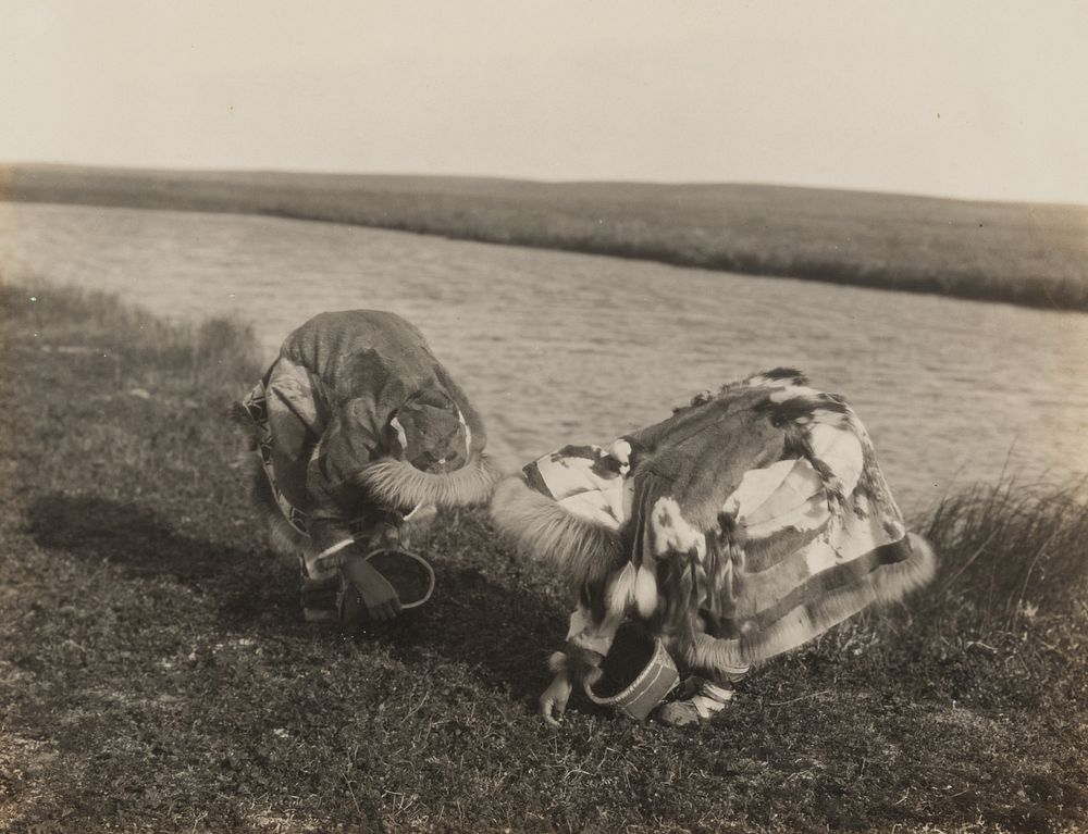 Appraisal: Edward Curtis Berry Pickers - Kotzebue Edward S Curtis -