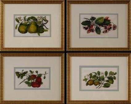 Appraisal: SIX CHINESE EXPORT BOTANICAL STUDIES Watercolor on paper x in