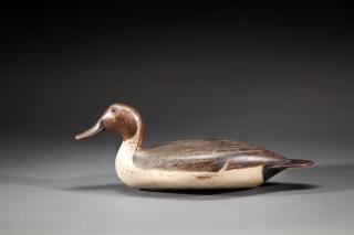 Appraisal: Pintail Drake by Robert Elliston Pintail DrakeRobert Elliston - Bureau