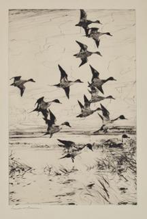 Appraisal: Frank W Benson - Pintails Passing signed Frank W Benson