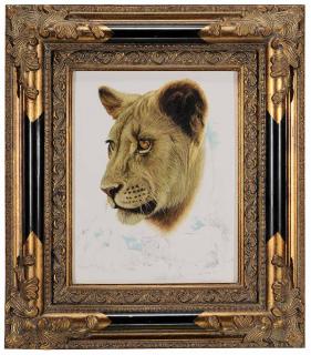 Appraisal: Craig Bone Florida Zimbabwe born Lioness signed lower right Craig