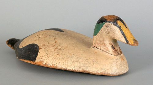 Appraisal: Nova Scotia eider duck decoy ca l