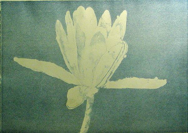 Appraisal: Joseph Raffael Lily for Mathew Color lithograph printed on Arches