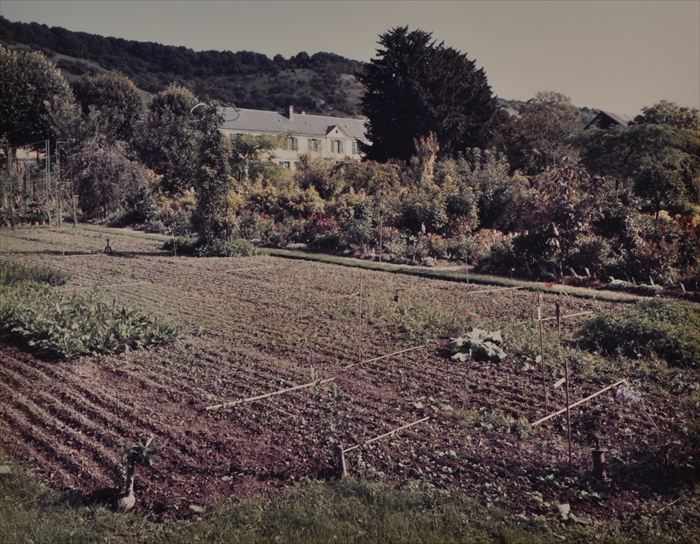 Appraisal: STEPHEN SHORE b GIVERNY SEED BEDS Cibachrome print in colors