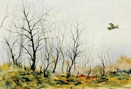 Appraisal: Al Barker New Jersey b FOLIAGE A RUFFED GROUSE watercolor