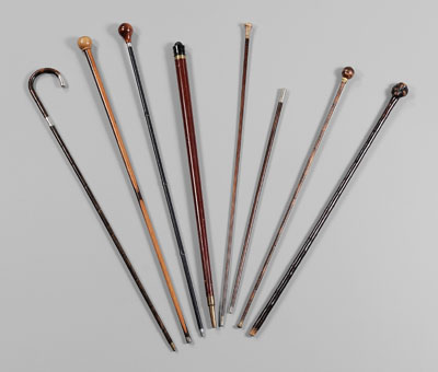 Appraisal: Eight Assorted Walking Sticks Crops one with brass mounts -