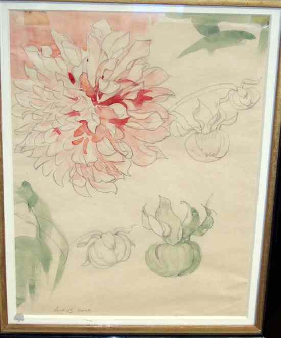 Appraisal: Sir Frank Brangwyn - watercolour Chrysanthemum buds Paul Liss label