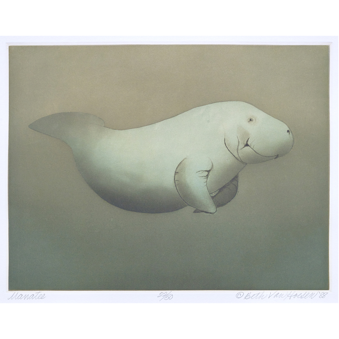 Appraisal: PRINT BETH VAN HOESEN Beth van Hoesen American - Manatee