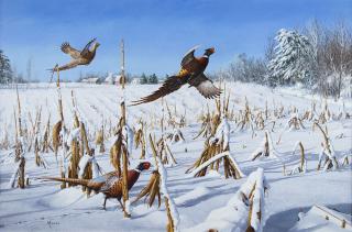 Appraisal: A Touch of Winter Pheasants by David Maass David Maass