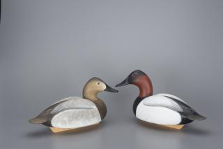 Appraisal: Canvasback Pair Oliver Tuts Lawson b Canvasback Pair Oliver Tuts