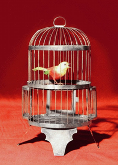 Appraisal: NEC-PLUS ULTRA PRODUCTION BIRD-CAGE Unusual large oval collapsing bird-cage inches