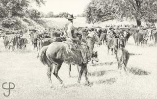 Appraisal: Robert 'Shoofly'' Shufelt ''Cattleman's Harvest'' cowboy and herd signed titled