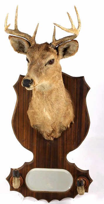 Appraisal: Taxidermy Deer Mount with Hoof Rack Mirror Featured in this