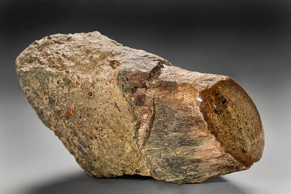 Appraisal: Dinosaur Bone in Matrix Indeterminate Species Jurassic Grand County Utah