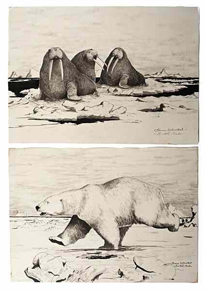 Appraisal: Florence Makewotkuk - Eskimo Pen and Ink Drawings lot of