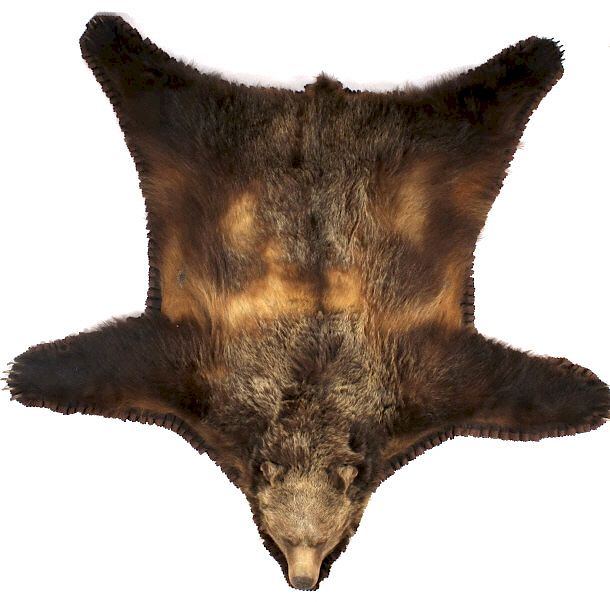 Appraisal: LARGE Grizzly Bear Full Mount Rug w Claws This lot