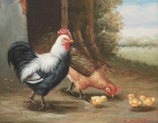 Appraisal: R MANTES OIL ON CANVAS BOARD OF ROOSTER HEN AND