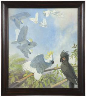 Appraisal: Julius Moessel Cockatoos signed and dated lower left Moessel oil