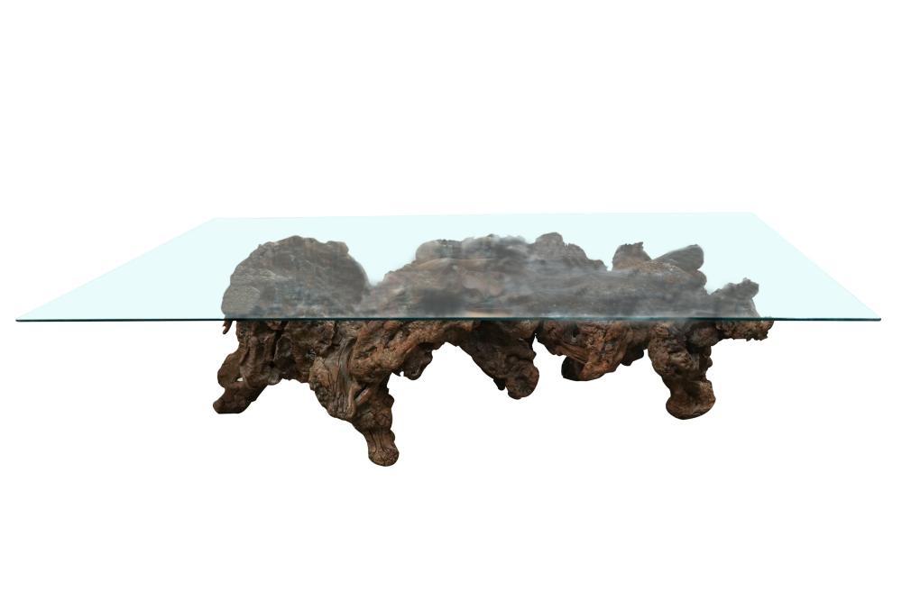 Appraisal: BURL ROOT WOOD COFFEE TABLEwith rectangular glass top inches wide