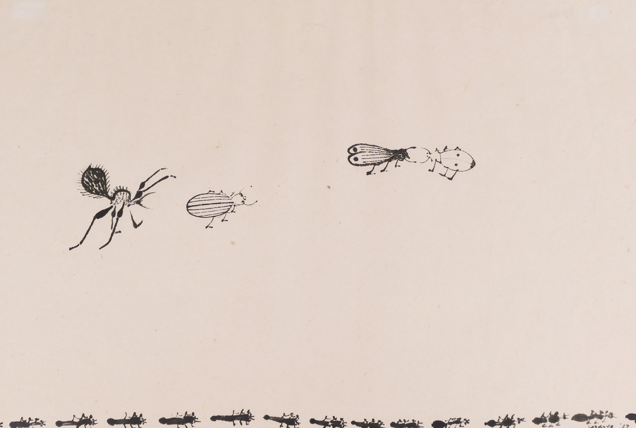 Appraisal: Morris Graves - Washington ''Insects'' Ink on Paper ''x ''