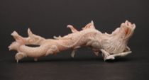 Appraisal: Carved Coral Dragon C th century Carved Angel Skin coral