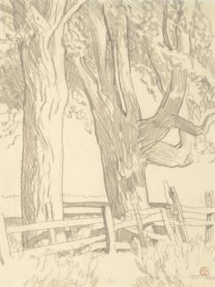 Appraisal: MAYNARD DIXON - Cottonwoods of Carson City NV graphite on