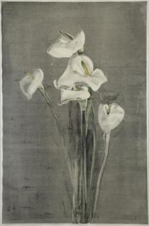 Appraisal: MAZUR Michael Monotype Calla Lily Signed dated and inscribed verso