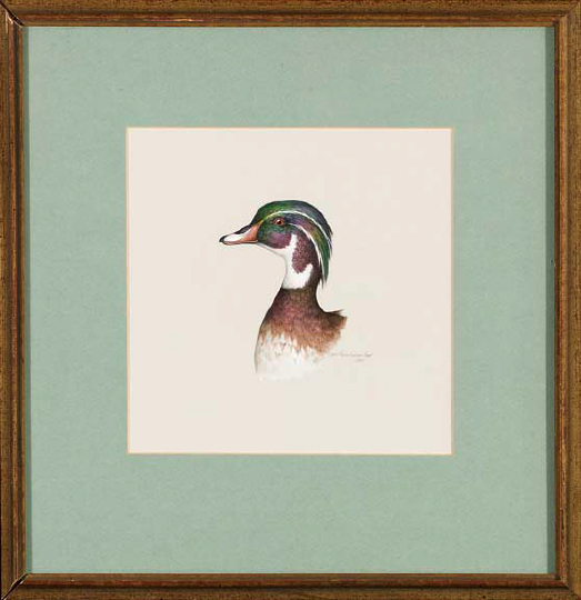 Appraisal: Joyce Hagerbaumer Reed American Contemporary Wood Duck Head watercolor sight