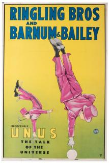 Appraisal: Ringling Brothers and Barnum Bailey Incredible Unus Talk of the