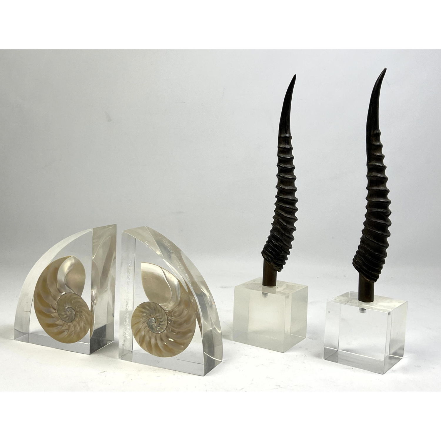 Appraisal: Mid Century Modern Acrylic Lot Nautalis shell bookends mall Horn