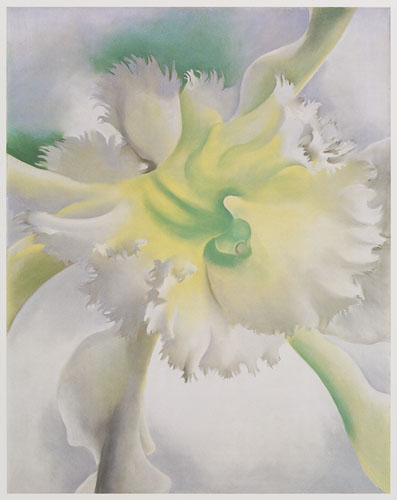 Appraisal: LIMITED EDITION WITH THE SUITE O'KEEFFE GEORGIA Georgia O'Keeffe color